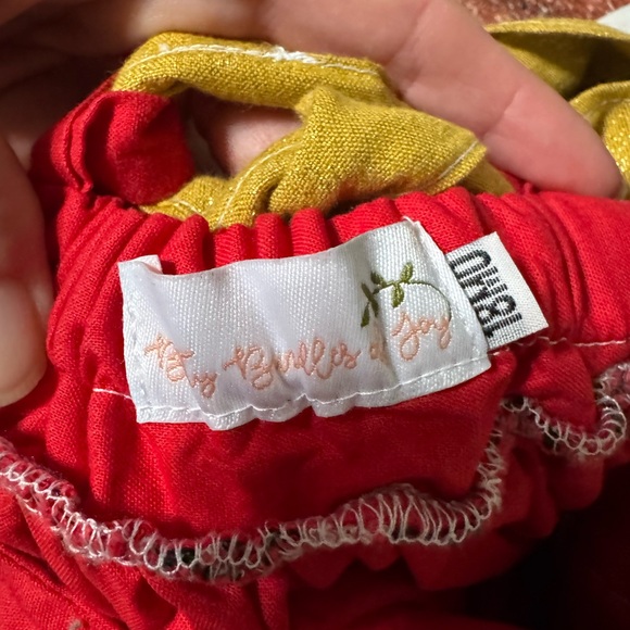 Bitty Bundles of Joy Ringmaster Circus dress 18m custom made birthday - Picture 3 of 3